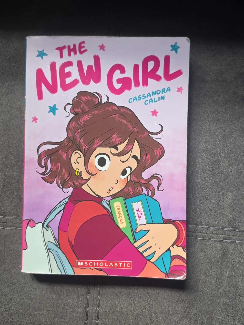 Scholastic Pink and Teal Illustrated Cover - The New Girl